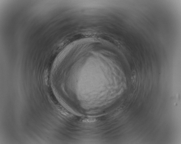 X0000077970767200611251319