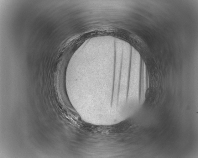X0000077970773200611251319