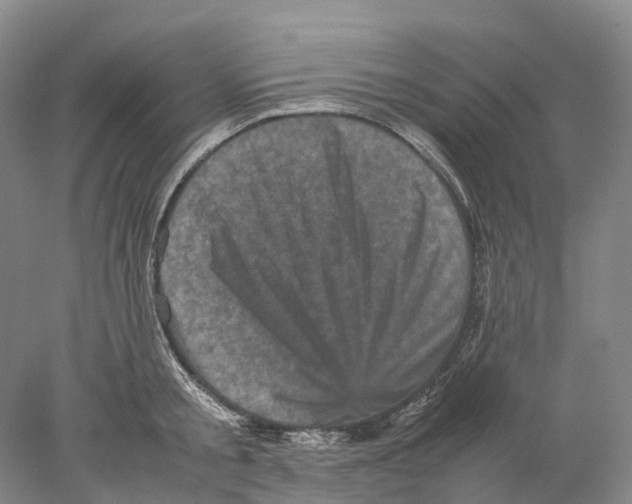X0000077970805200611251318