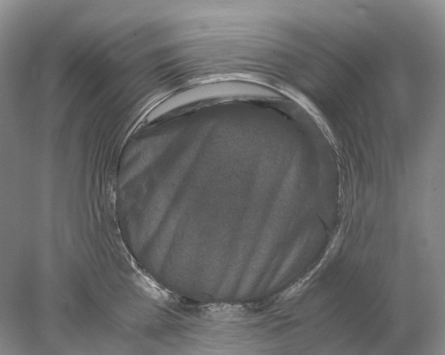 X0000077970809200611251318