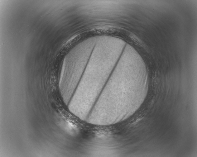 X0000077970822200611251317