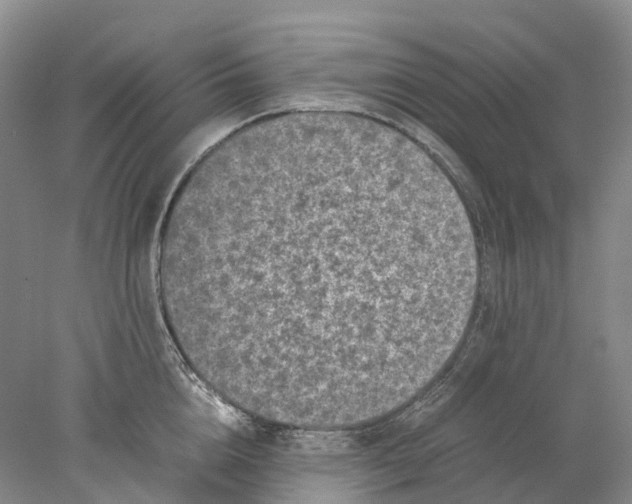 X0000077970856200611251318