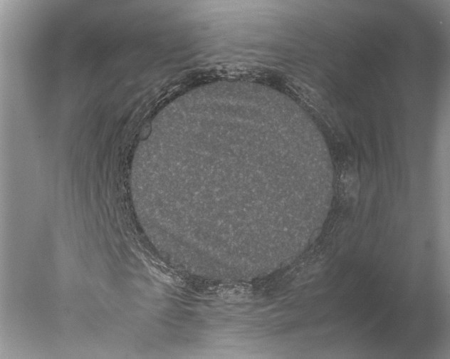 X0000077970865200611251317
