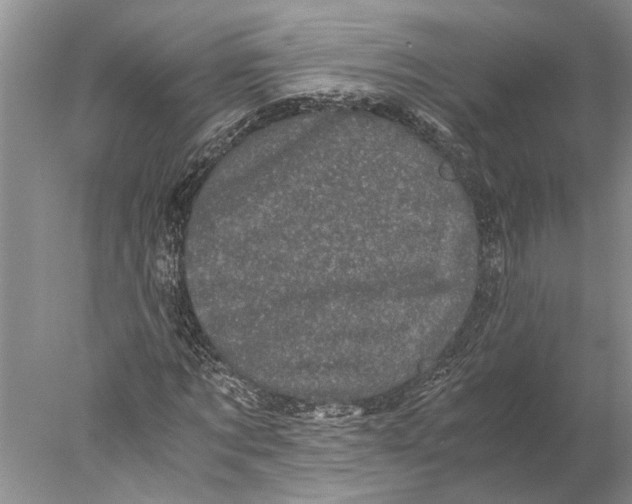 X0000077970869200611251317