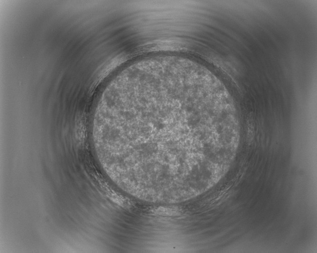 X0000077970874200611251317