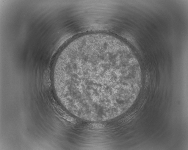 X0000077970878200611251317
