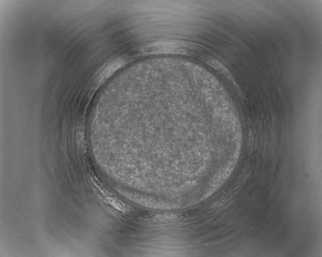 X0000077970882200611251317