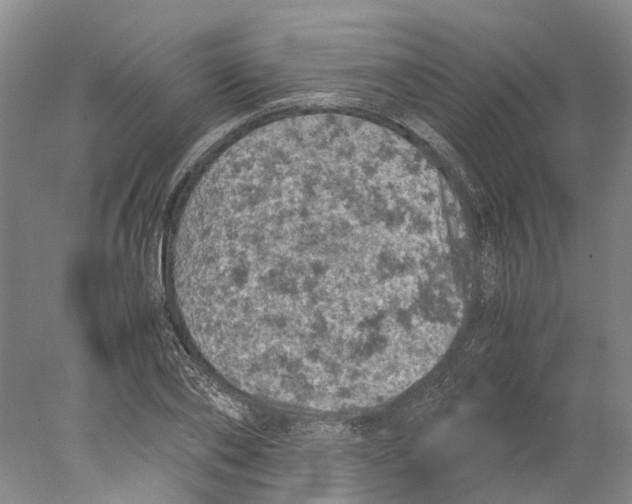X0000077970886200611251317