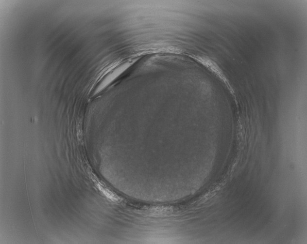 X0000077970889200611251317