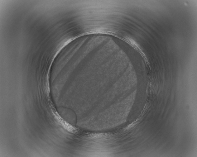 X0000077970892200611251316