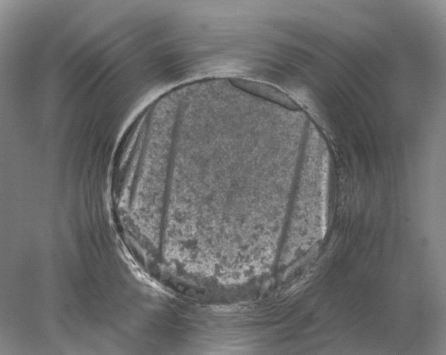 X0000077970904200611251316