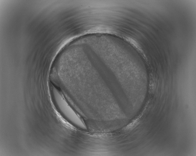 X0000077970942200611251316