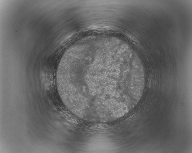 X0000077970966200611251315