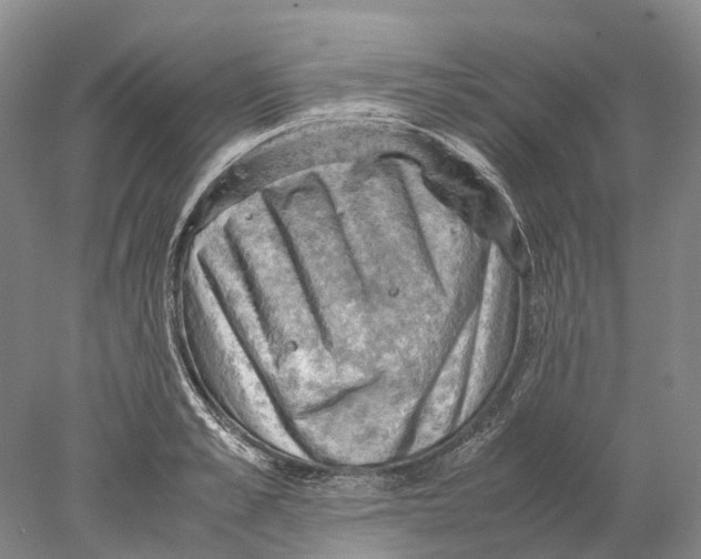 X0000077970989200611251315