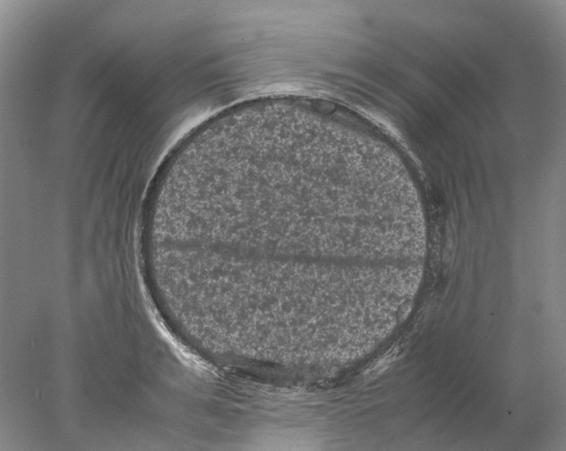 X0000077970991200611251315