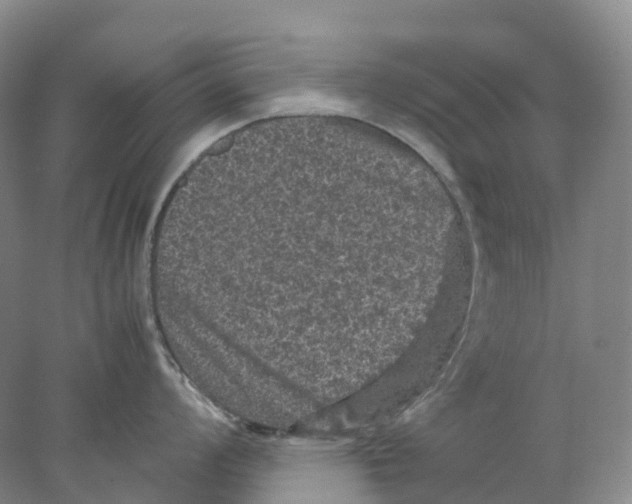 X0000077971008200611251315