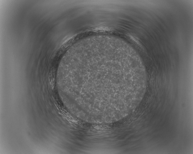 X0000077971015200611251314