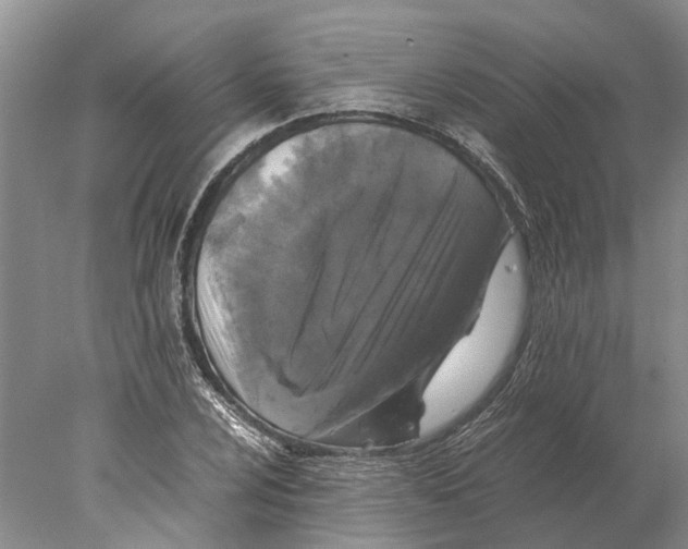 X0000077971024200611251314