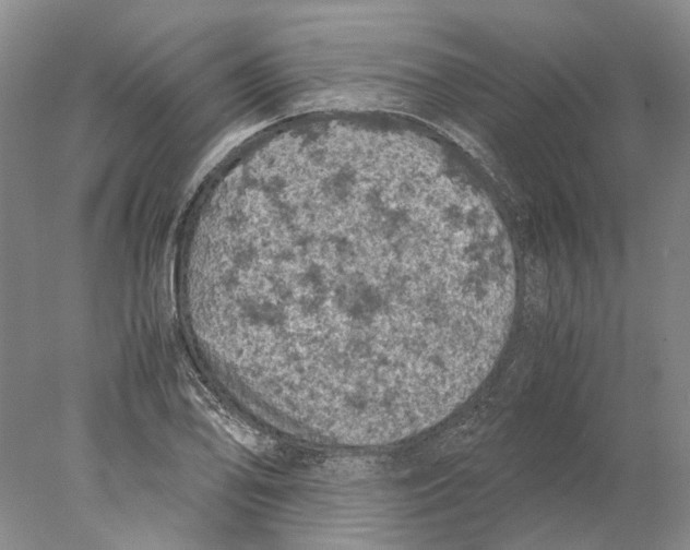 X0000077971078200611251313