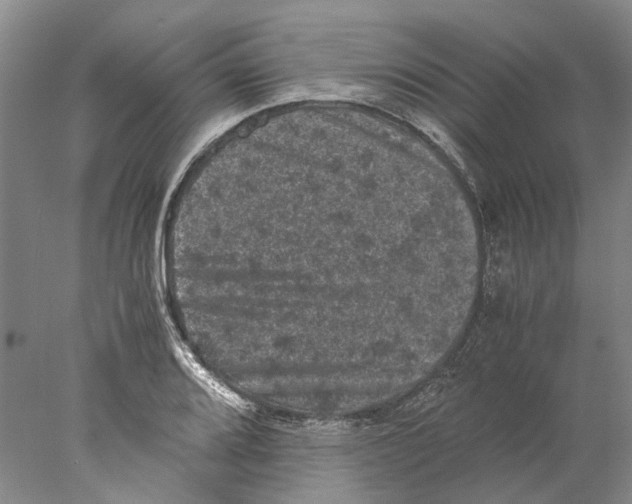 X0000077971080200611251313