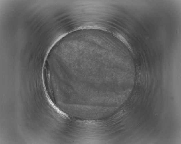 X0000077971084200611251313