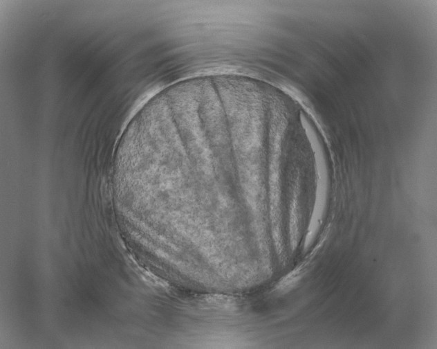 X0000077971097200611251313