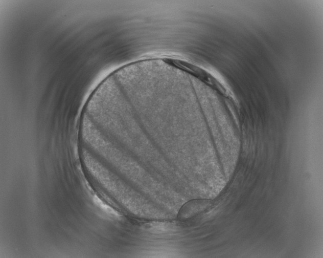 X0000077971102200611251313