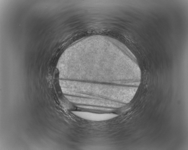 X0000077971109200611251312