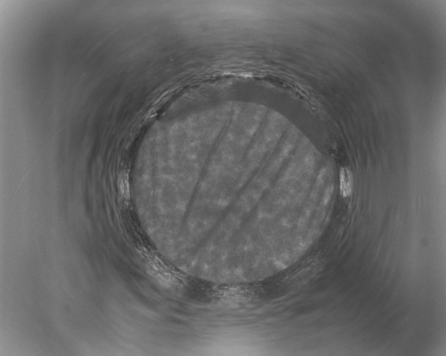 X0000077971155200611251312