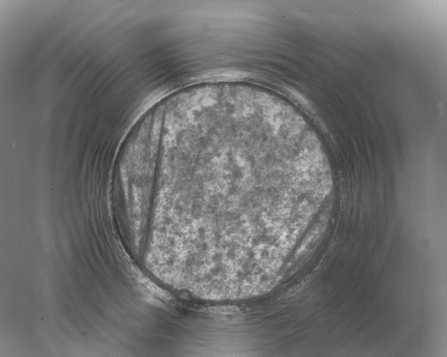 X0000077971186200611251311