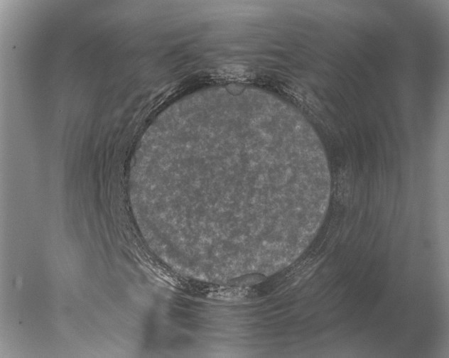 X0000077971201200611251310