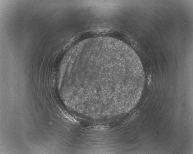 X0000077971204200611251310