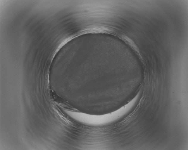 X0000077971226200611251311
