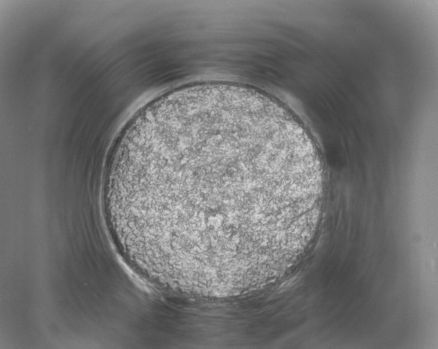 X0000077971245200611251311