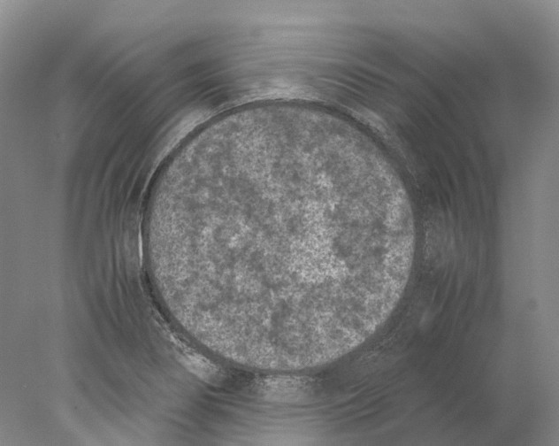 X0000077971274200611251310