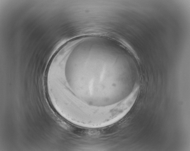X0000077971291200611251310