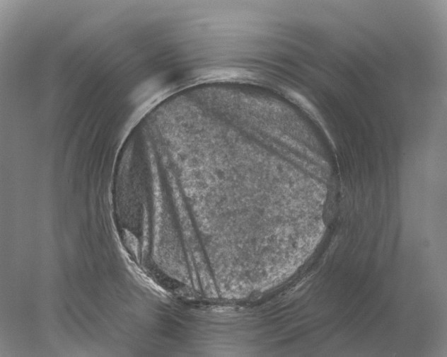 X0000077971330200611251309