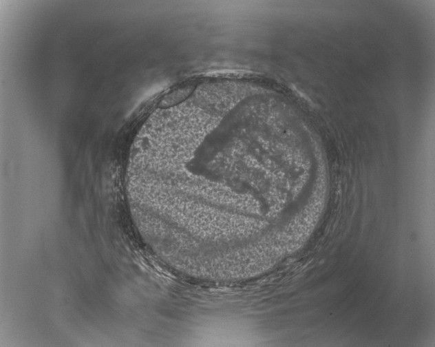 X0000077971351200611251309