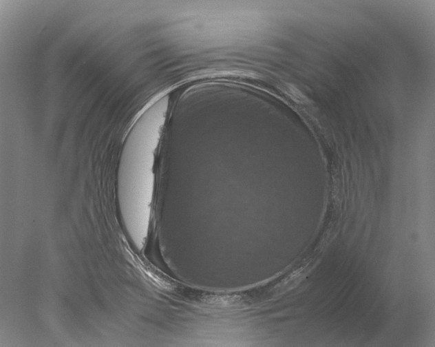 X0000077971369200611251308