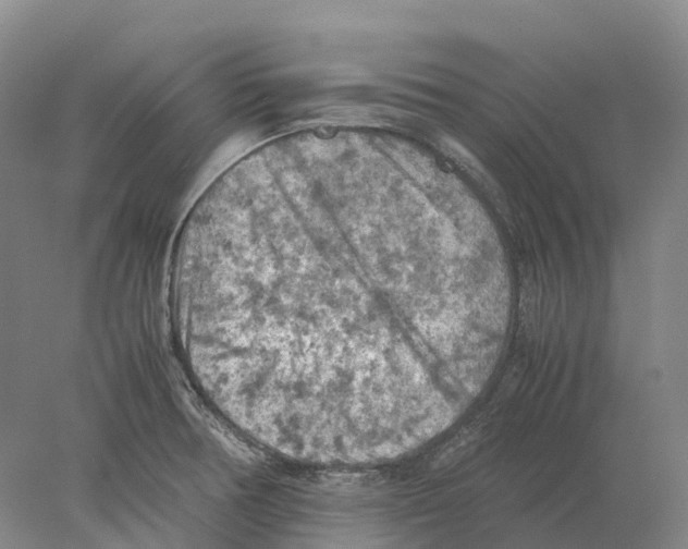 X0000077971378200611251308