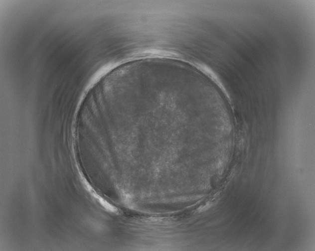 X0000077971381200611251308