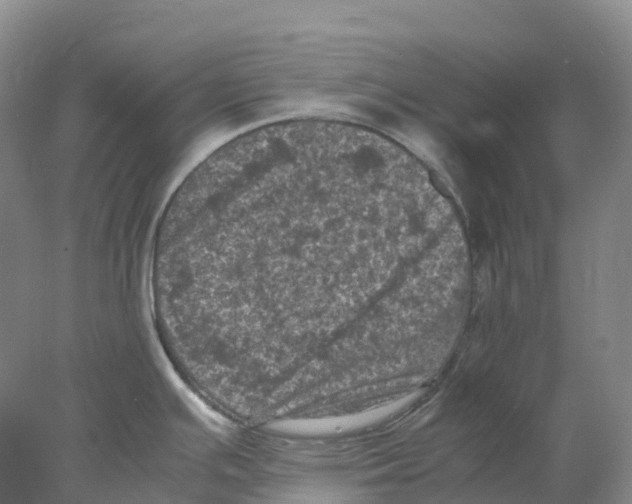 X0000077971391200611251308