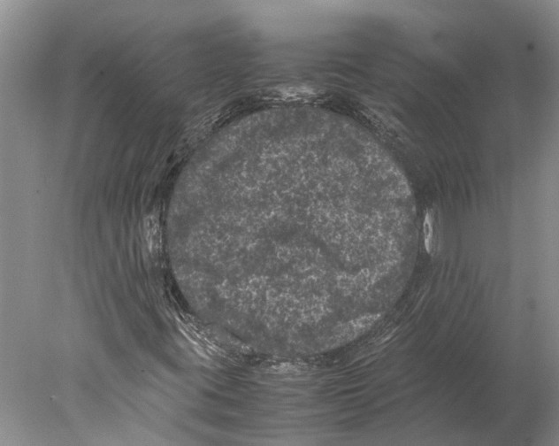 X0000077971395200611251307