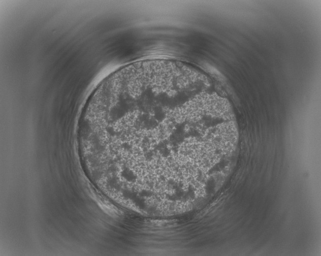 X0000077971427200611251308