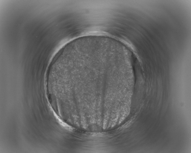 X0000077971430200611251308