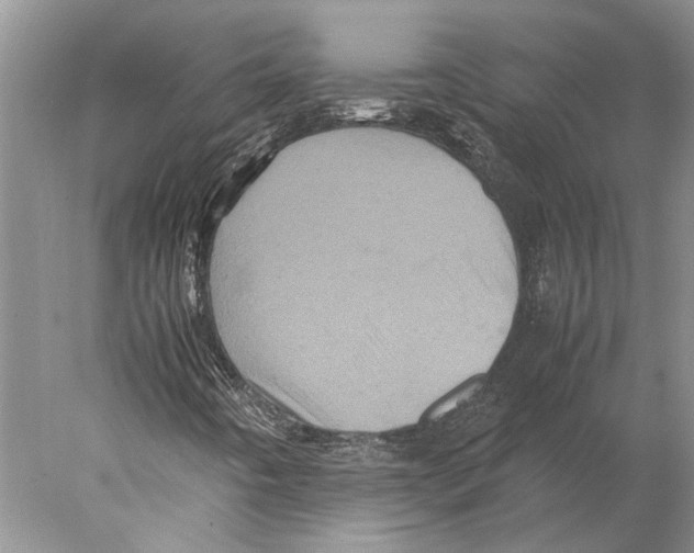 X0000077971442200611251307