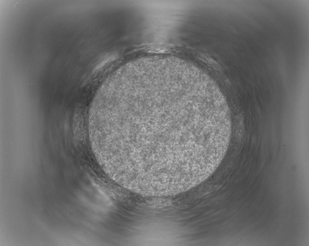 X0000077971446200611251307