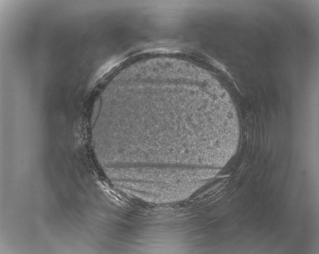 X0000077971448200611251307
