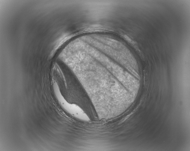 X0000077971453200611251307