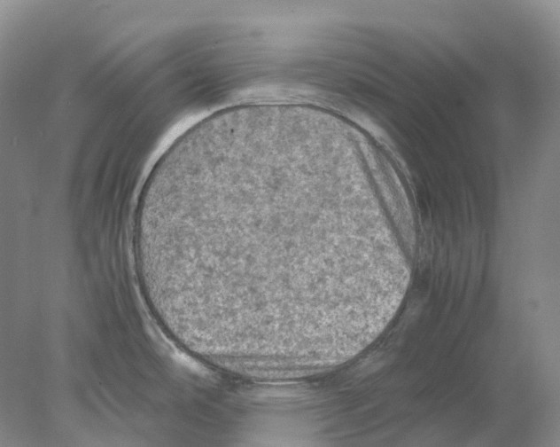 X0000077971486200611251306